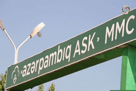 `Azərpambıq ASK` MMC Ucar rayonunda ciddi narazılıq yaradır - Həm səhmdardır, həm də gözətçi işləyir, amma...