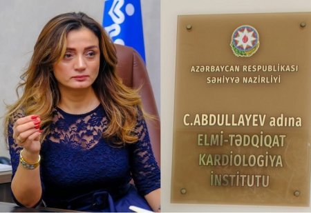 Elmi-Tədqiqat Kardiologiya İnstitutunda OYUNBAZLIQLAR... - ARAŞDIRMA