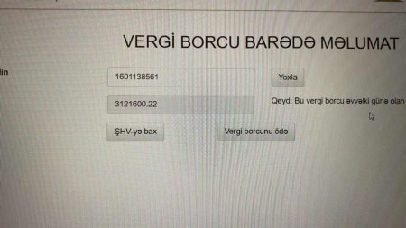 Yüzlərlə şikayətçi, milyonlarla vergi borcu və açıq qalmış cinayət işi... - Rauf Əliyevi kimlər himayə edir?