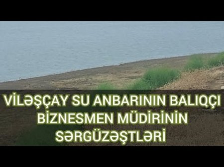 Masallıda Zaur Mikayılovun kadrı balıq biznesinə girişib - BU DA FAKT...