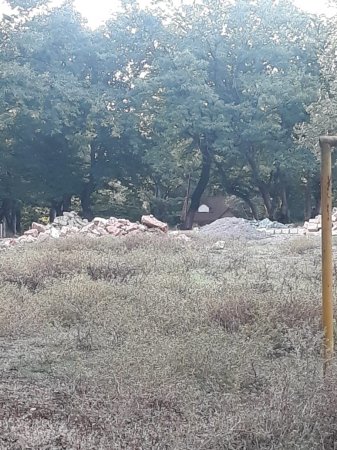 Qırmızı Kitaba daxil olan agaclar məhv edilib, yerində restoran tikilib - NAZİRİN NƏZƏRİNƏ...