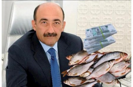 Əbülfəs Qarayev Moskvada balıq biznesinə başladı - FOTO