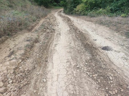 Lerikin bu kəndi XARABA GÜNƏ QALIB... - NARAZILIQ VAR...