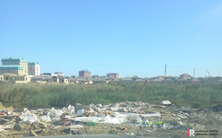 Masazırda qanunsuz yaşayış məntəqələri tikən Xəyal Məmmədova Abdin Fərzəliyev niyə göz yumur? -FOTOLAR