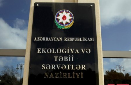 BU NƏDİ BELƏ: Kür çayında balıqları kütləvi qıran kimlərdir? - COB29 ərəfəsi ACINACAQLI MƏNZƏRƏ...