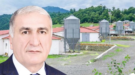 İqbal Məmmədovun şirkəti yoxlamaya mane olub? - TƏFƏRRÜAT