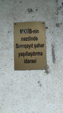 Sumqayıt "qohum-əqrəba" şirkətlərin yaşıllıq meydanına çevrilib-MÜƏMMALI TENDERLƏR